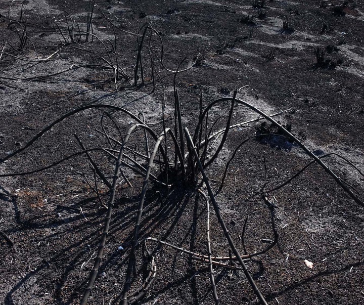 گالری آثار عکاسی ویکتور موریاما از برزیل