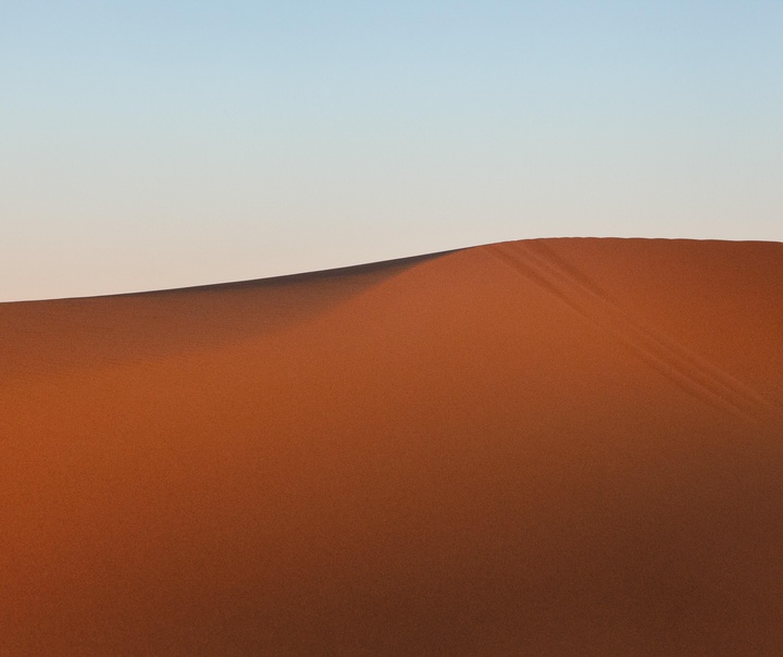 آلیس ویلیامز