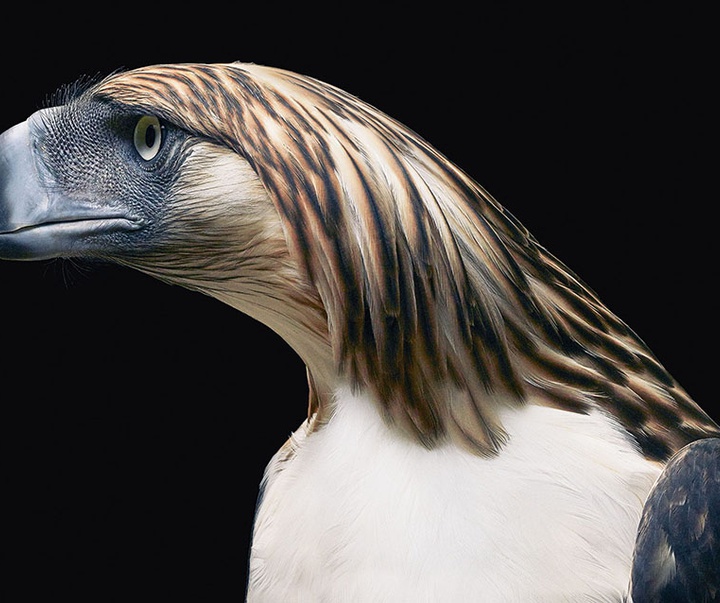 گالری عکس‌های خلاقانه تیم فلچ از بریتانیا