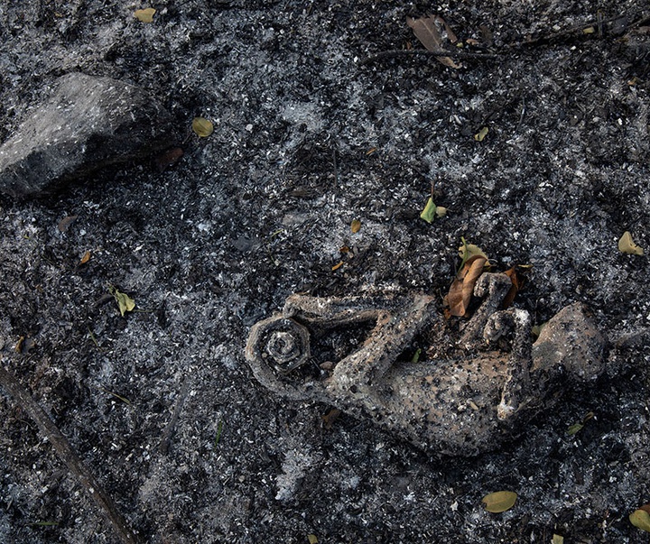 گالری آثار عکاسی لالو د آلمیدا از برزیل - قسمت اول