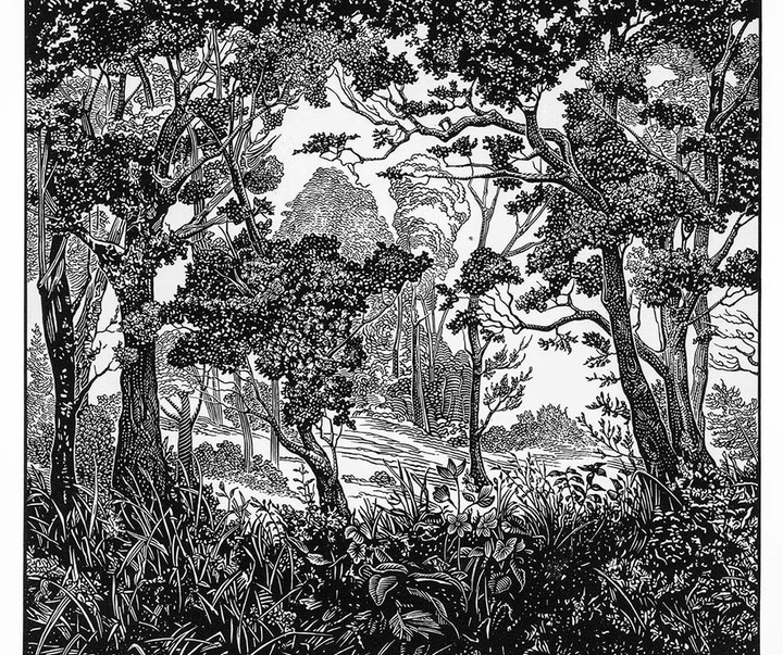 گالری آثار تصویرسازی راجر خاویر از آمریکا