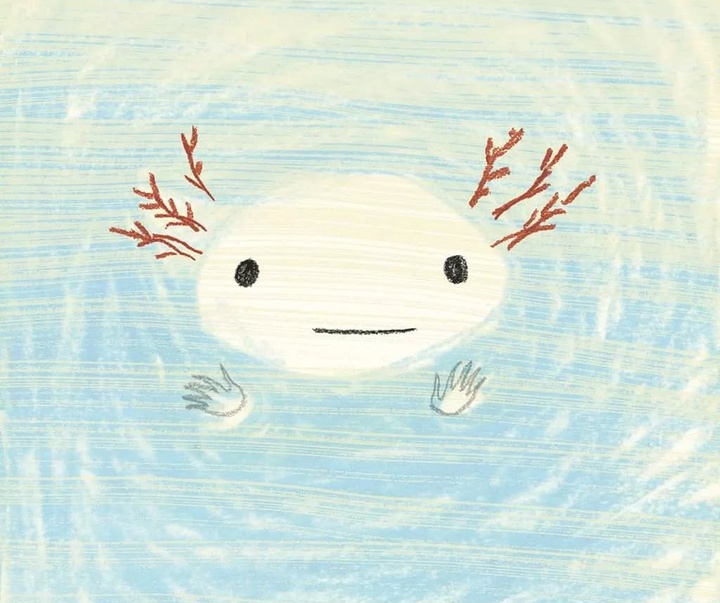 گالری آثار تصویرسازی ایزول میسنتا از آرژانتین