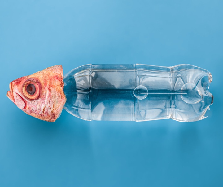 گالری عکس‌های وولف سیلوری از اتریش