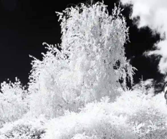 گالری آثار عکاسی دن لاوریچ از رومانی