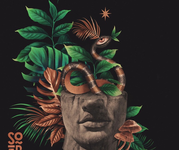 گالری آثار طراحی گرافیک جو استینگ از برزیل