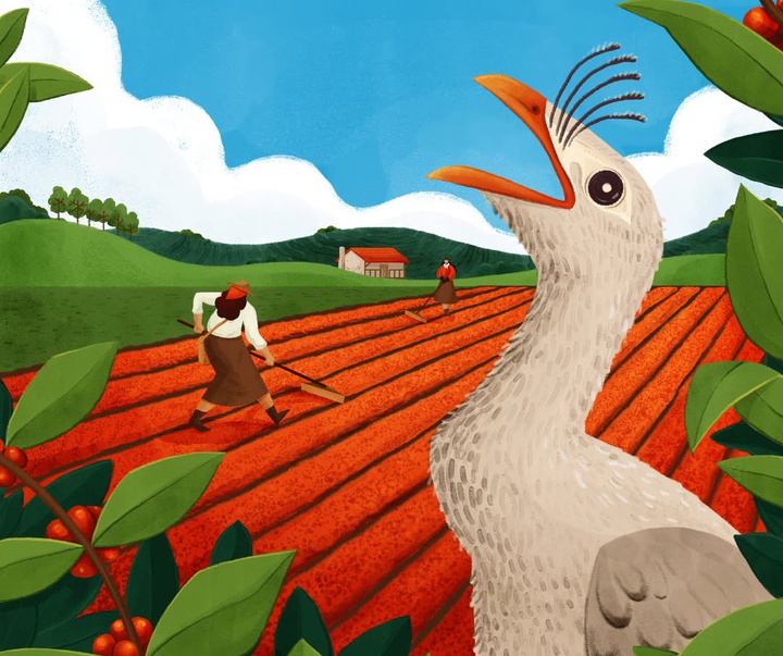 گالری تصویرسازی‌های استودیو لاسکا از برزیل