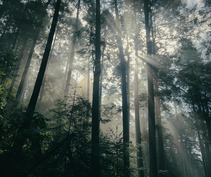 گالری آثار عکاسی اروین آندرس فریر اوکانا از مکزیک