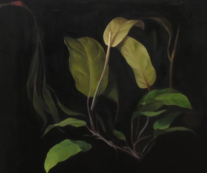 گالری نقاشی‌های لولا ماری از آرژانتین