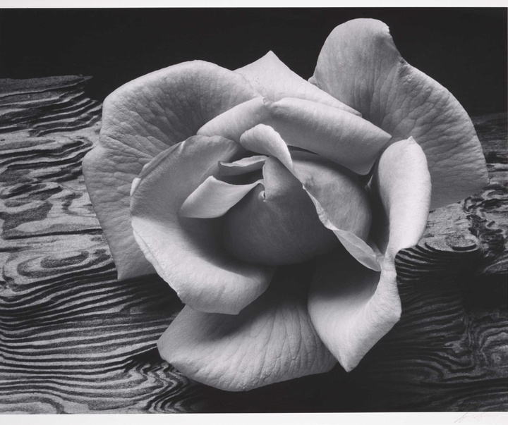 گالری عکس های آنسل آدامز