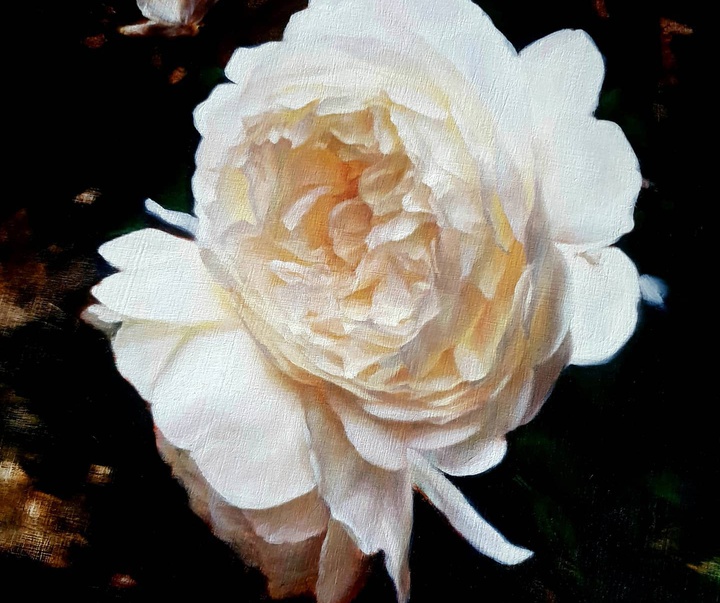 گالری نقاشی های استفانی راجرز از انگلیس