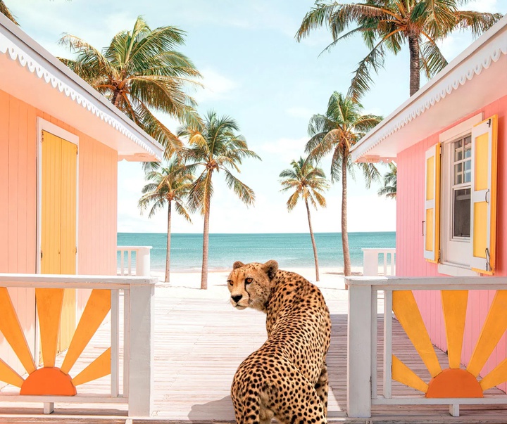 گالری آثار عکاسی پاول فوئنتس از بریتانیا