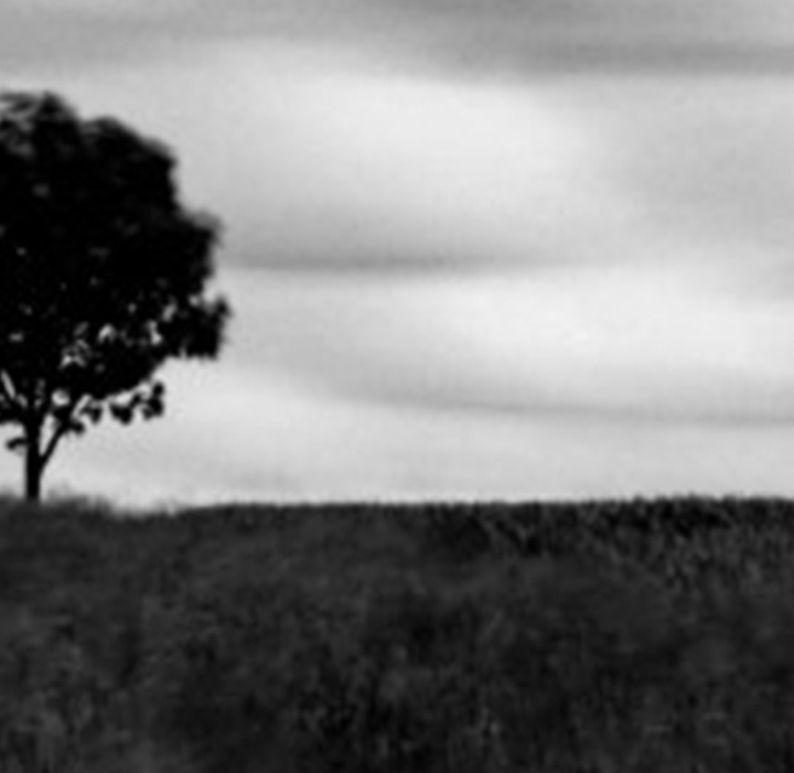 گالری آثار عکاسی مایک سایدل از آلمان