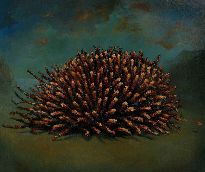 گالری نقاشی‌های لولا ماری از آرژانتین