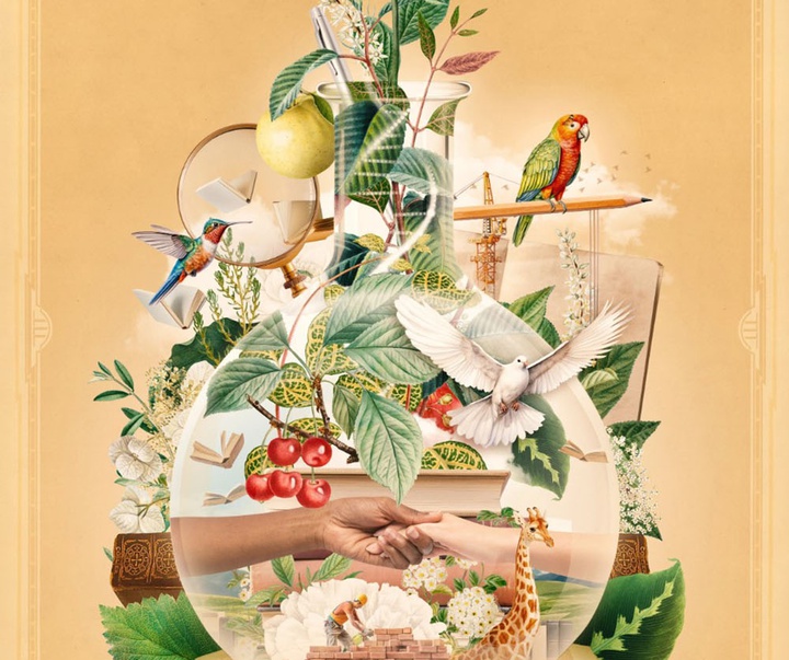 گالری تصویرسازی‌های گیرمو فلورس پاچکو از مکزیک