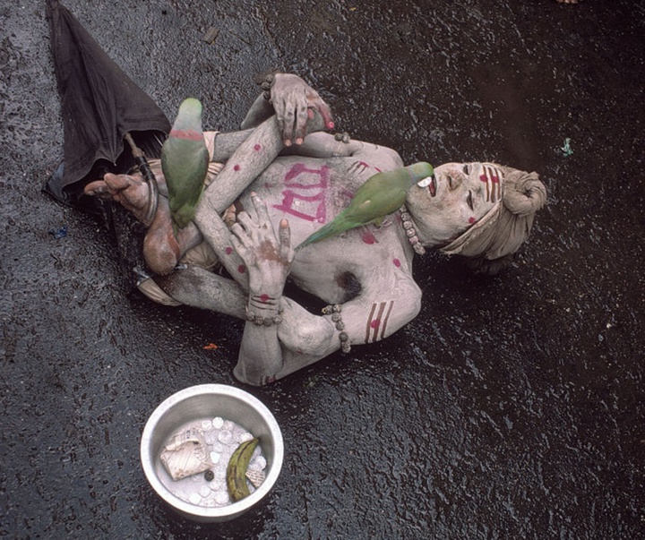 گالری آثار عکاسی برونو باربی از مراکش