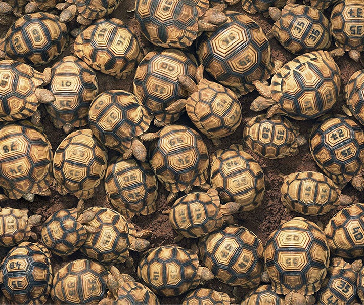 گالری عکس‌های خلاقانه تیم فلچ از بریتانیا