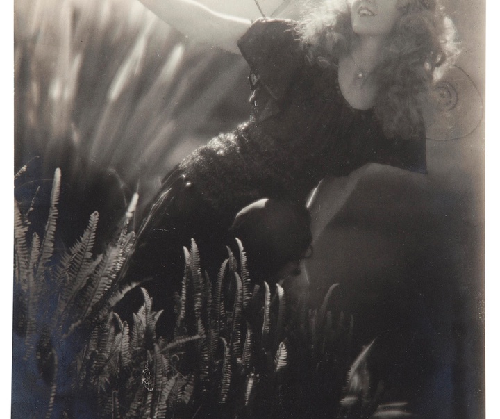 گالری عکس‌های ادوارد وستون از آمریکا