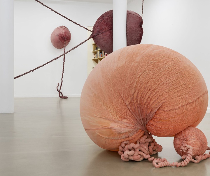 گالری آثر چیدمان و حجم اوا فابرگاس از اسپانیا