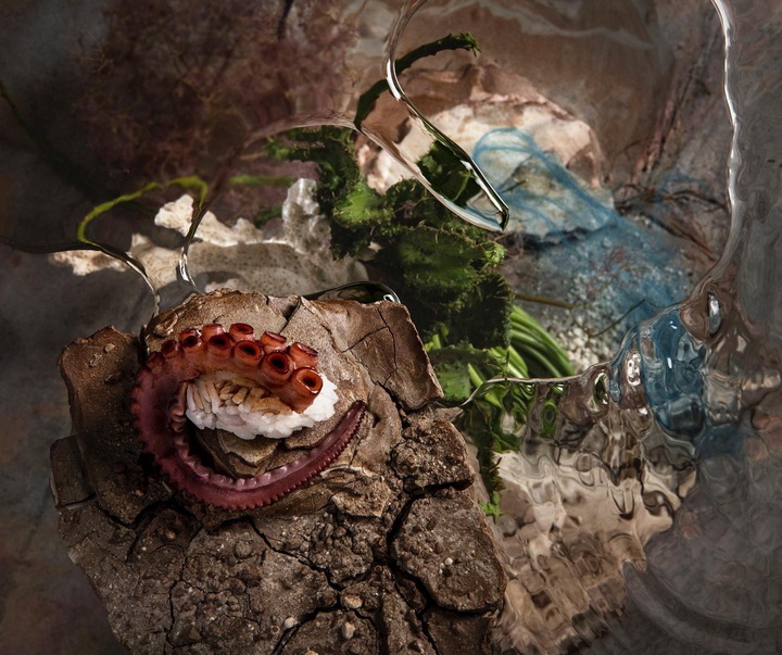 گالری عکس‌های استودیو پاتو کاتز از آرژانتین