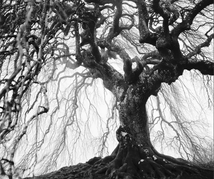 گالری آثار عکاسی مایک سایدل از آلمان