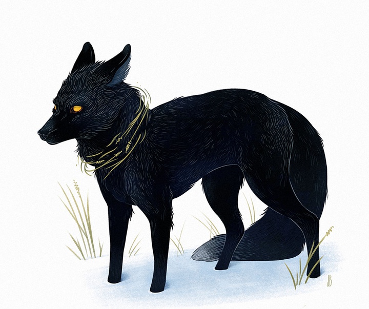 گالری آثار تصویرسازی جنا بارتون از آمریکا