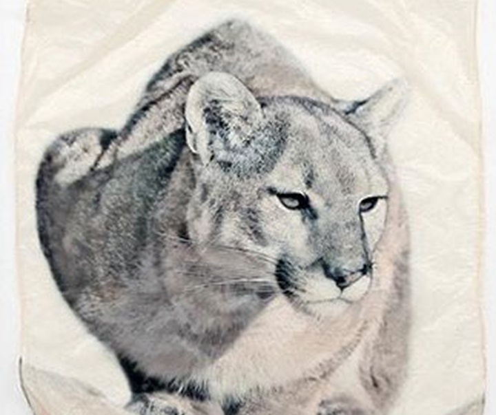 گالری نقاشی‌های پیت زالوزک از آمریکا