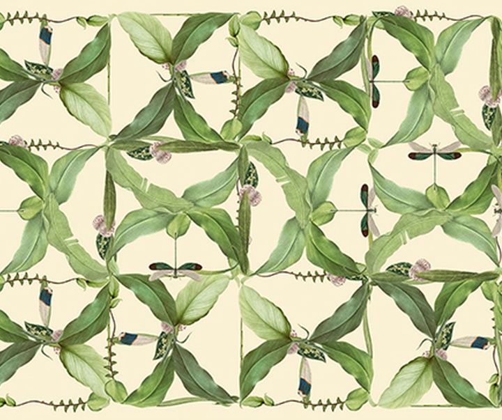 گالری تصویرسازی‌های گیرمو فلورس پاچکو از مکزیک