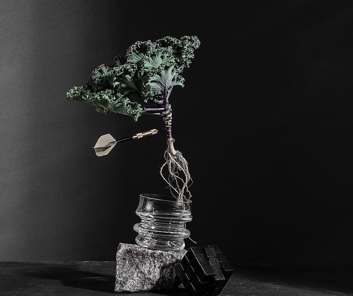 گالری عکس‌های استودیو پاتو کاتز از آرژانتین