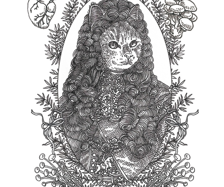 گالری آثار تصویرسازی نیکول بوستامانته از برزیل