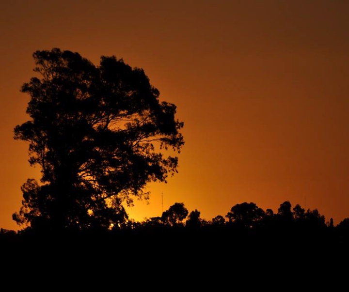گالری آثار عکاسی لوئیس مدیچی از آرژانتین