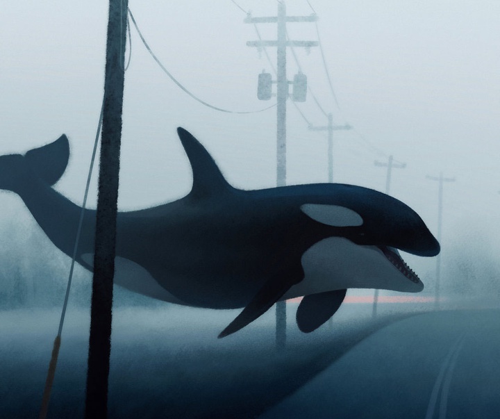 گالری آثار تصویرسازی جنا بارتون از آمریکا