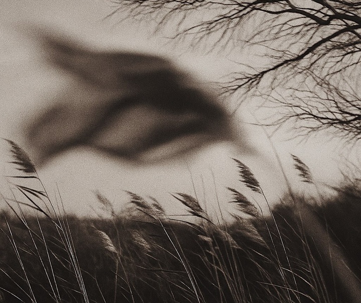 گالری عکس های ریچل برنن از فرانسه