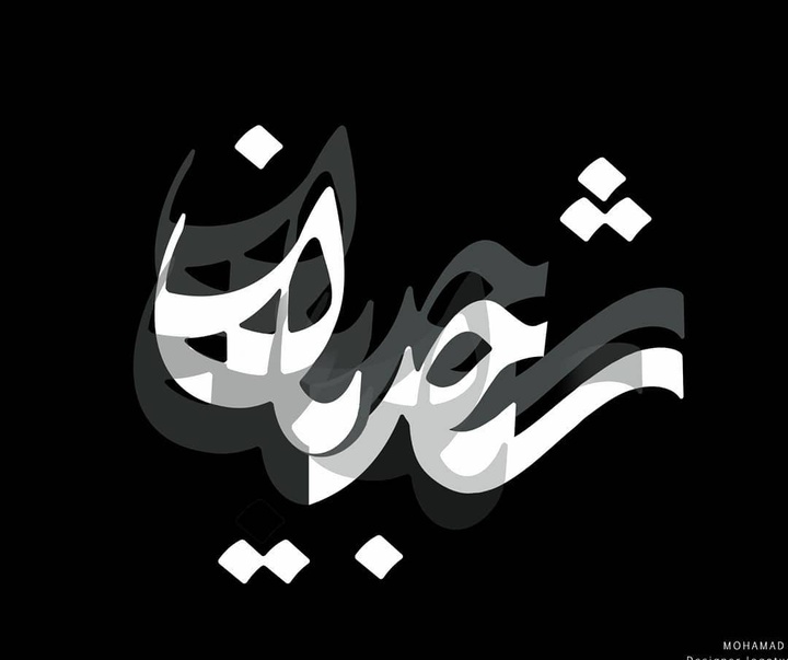 گالری آثار گرافیک مانی وطن‌زاد از ایران