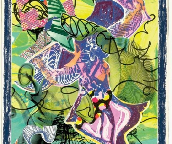 گالری آثار گرافیک فرانک استلا از آمریکا