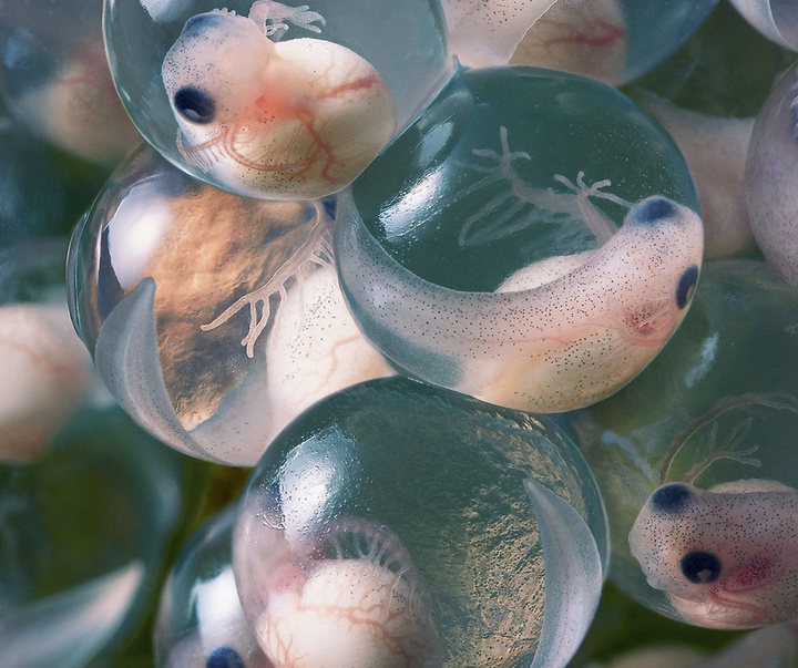 گالری عکس‌های خلاقانه تیم فلچ از بریتانیا