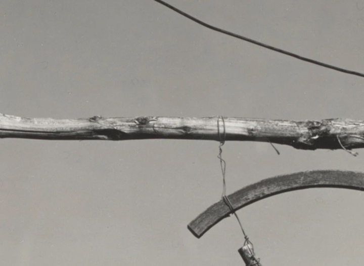 گالری عکس‌های ادوارد وستون از آمریکا