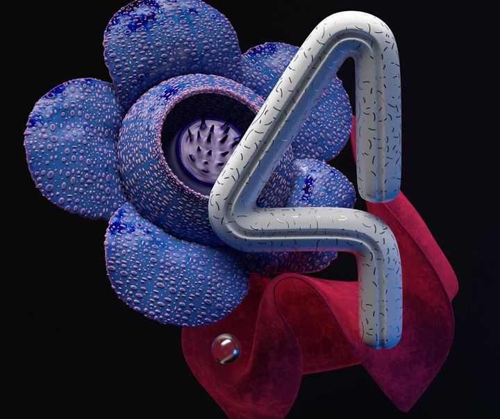 گالری آثار گرافیک سه بعدی خوزه کارلوس از کاستاریکا