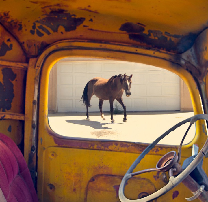 گالری عکس های بری کاوستون از انگلیس