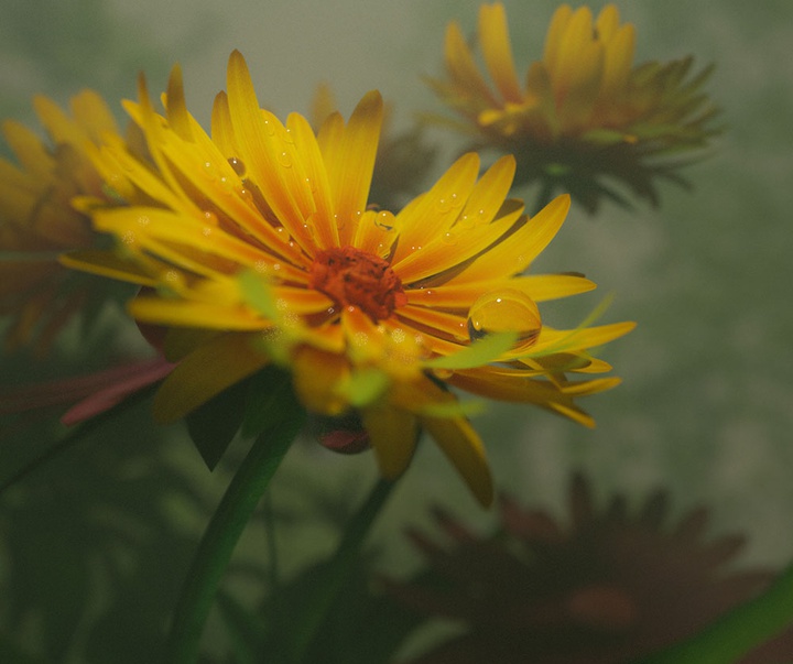 گالری آثار گرافیک سه بعدی خوزه کارلوس از کاستاریکا