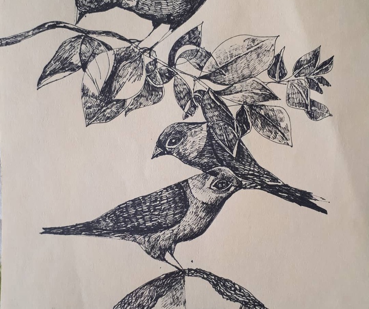 گالری تصویرسازی های فاطمه رادپور از ایران