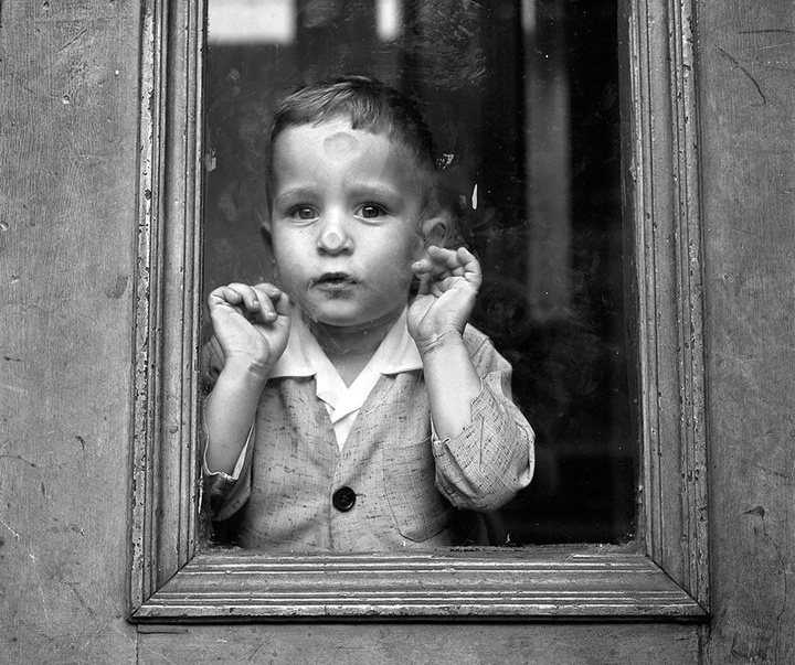 گالری عکس های ویوین مایر از آمریکا