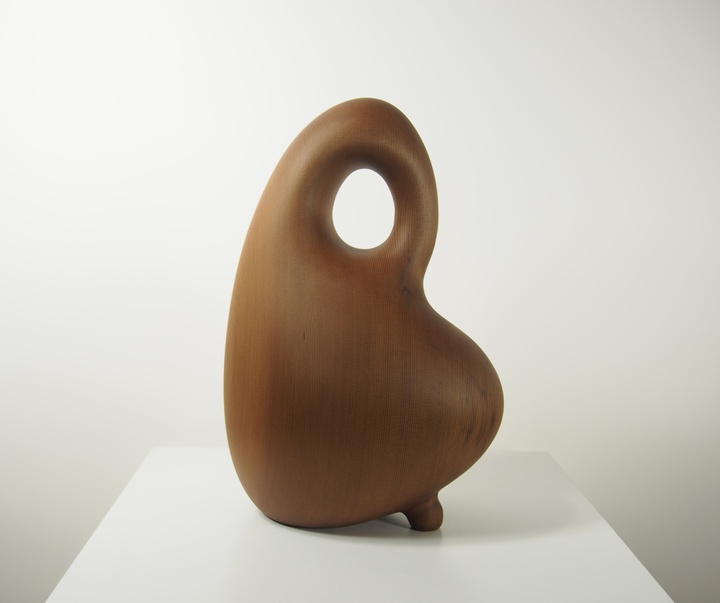 گالری آثار حجم مایک ساساکی از کانادا