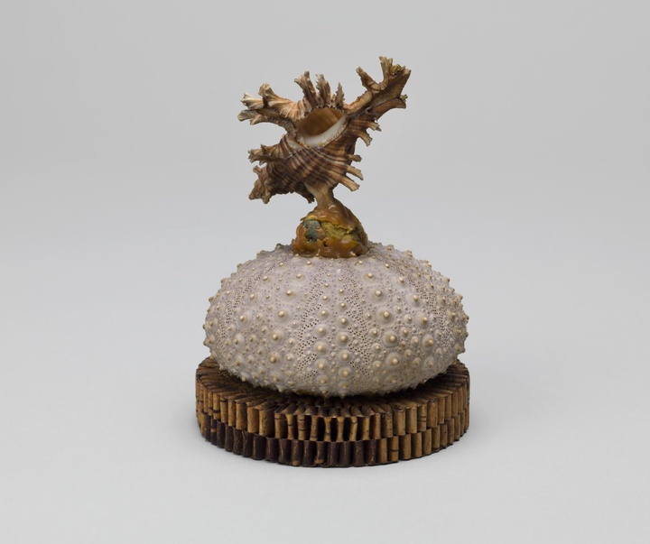 گالری آثار مجسمه و حجم ایلین آگار هنرمند آرژانتینی - بریتانیایی