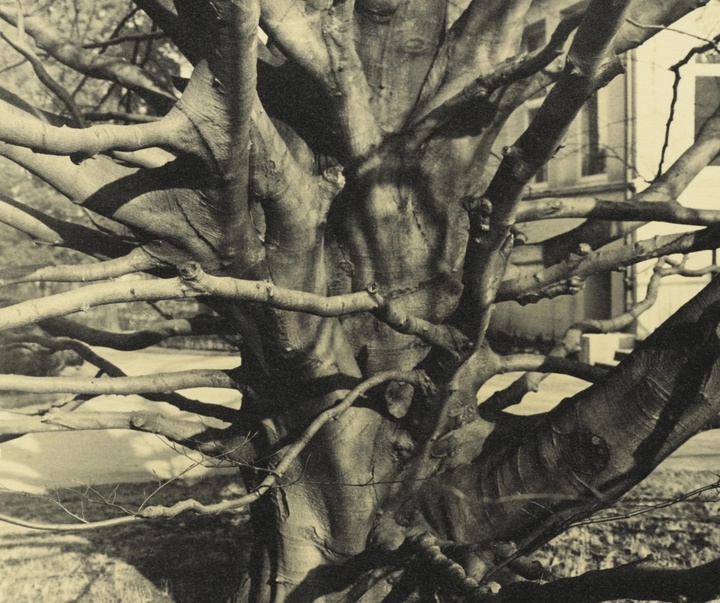 گالری آثار عکاسی آلبرت رنگر-پاتش از آلمان