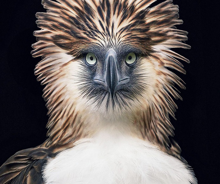 گالری عکس‌های خلاقانه تیم فلچ از بریتانیا