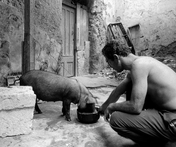 گالری آثار عکاسی داماریس بتانکور از کوبا