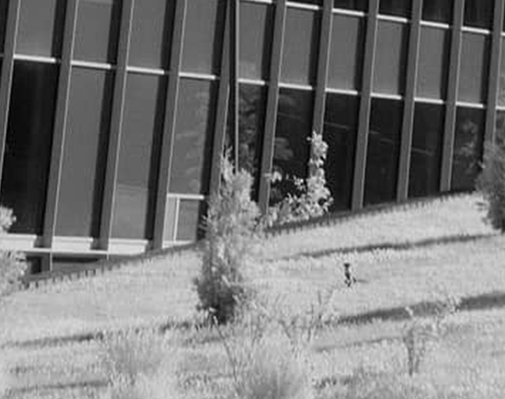 گالری آثار عکاسی فدریکو فورتینی از آرژانتین