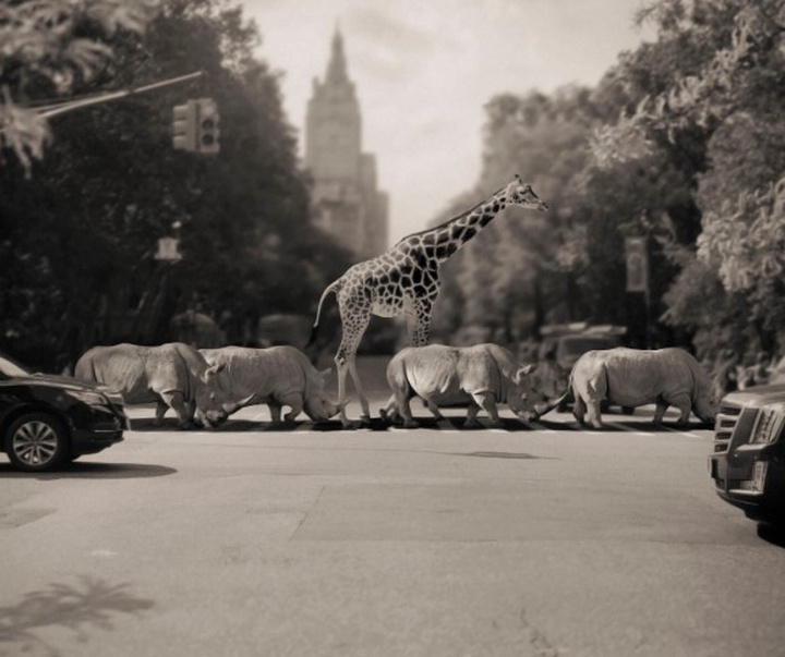 گالری آثار عکاسی اوریول یولانچ از اسپانیا