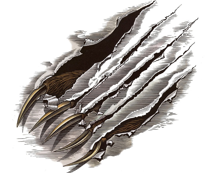 گالری آثار تصویرسازی راجر خاویر از آمریکا