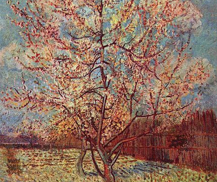 vincent van gogh peach tree in blossom